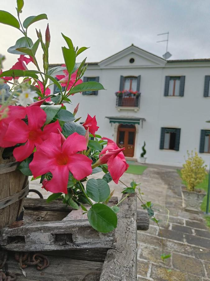 Agriturismo Villa Greggio Casalserugo Εξωτερικό φωτογραφία