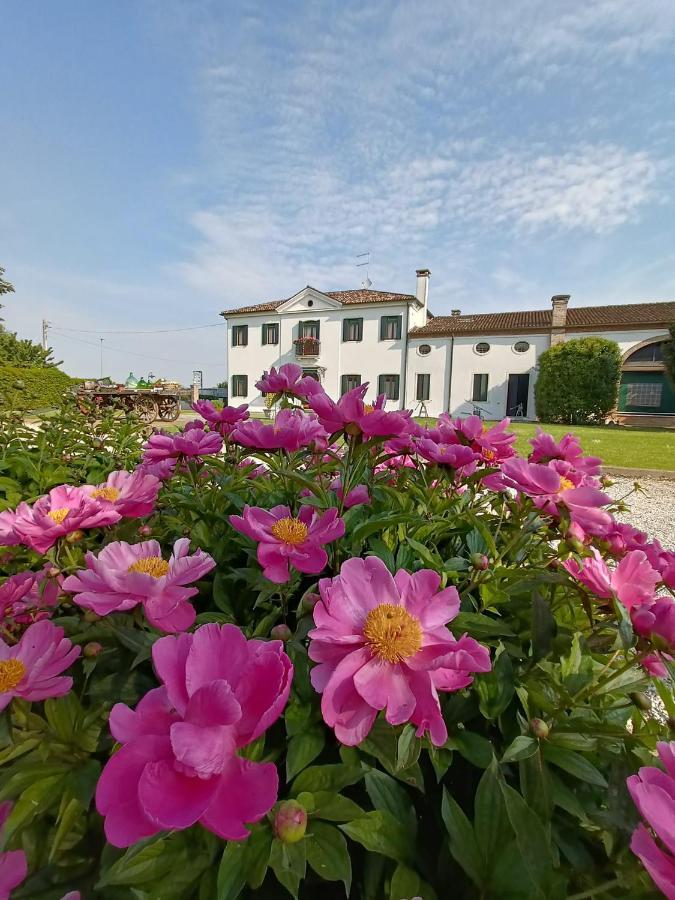 Agriturismo Villa Greggio Casalserugo Εξωτερικό φωτογραφία