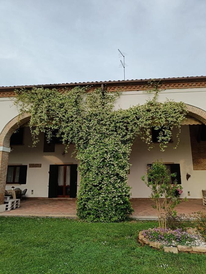 Agriturismo Villa Greggio Casalserugo Εξωτερικό φωτογραφία